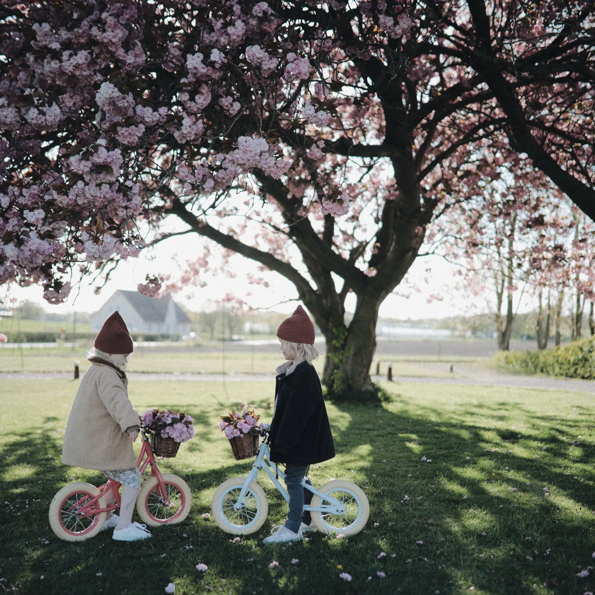 Banwood 'First Go!' Balance Bike - Coral