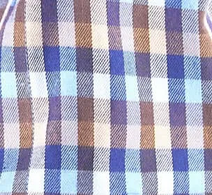 Brushed Cotton Checked Shirt