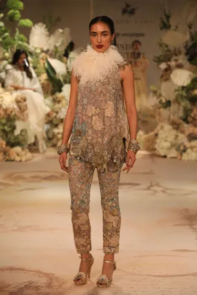 Champagne Gold Embroidered Dress With Tights