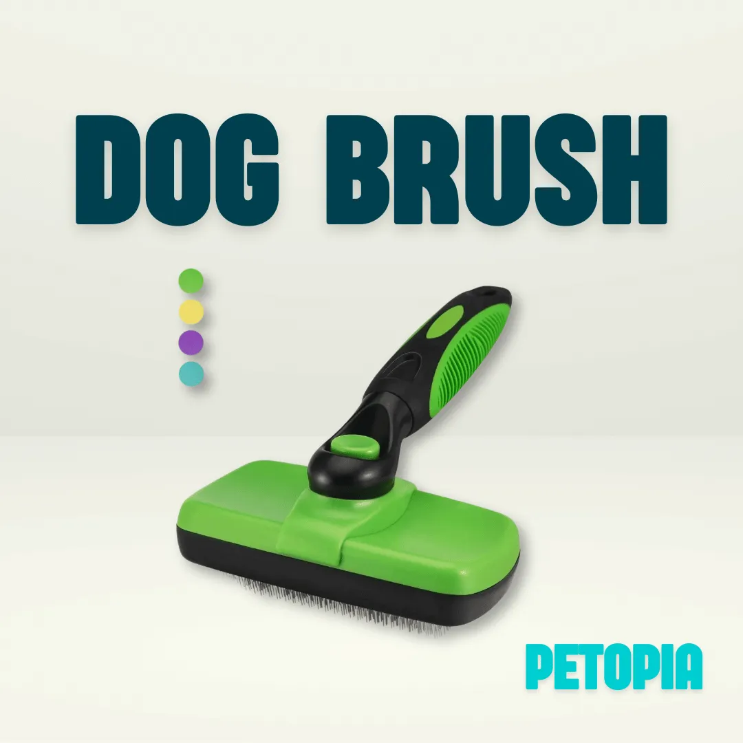 Self Cleaning Dog Brush