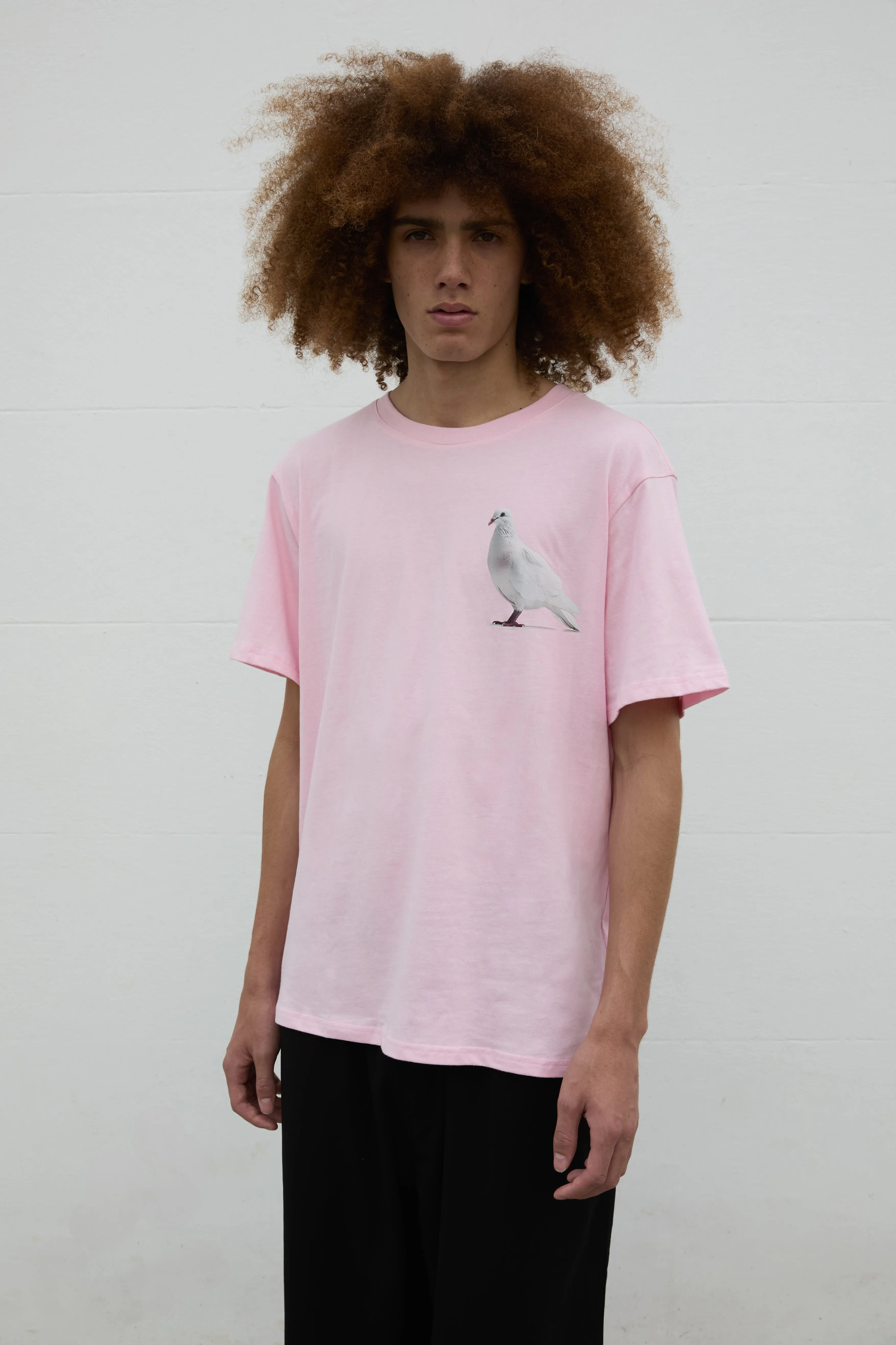 Standing Dove Print Unisex T-Shirt in Pink