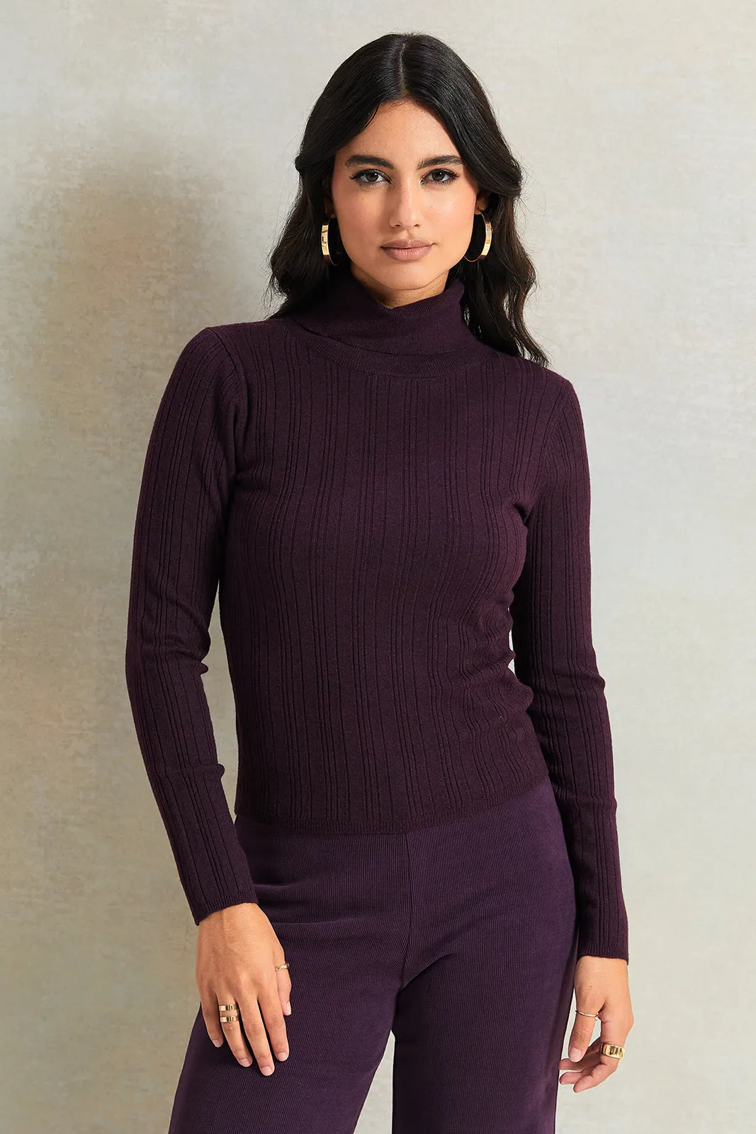 Women Burgundy Textured High Neck Sweater